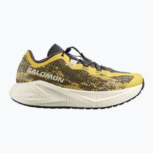 Pánské běžecké boty Salomon Aero Glide 4 GRVL beach ball/asphalt/vanilla ice