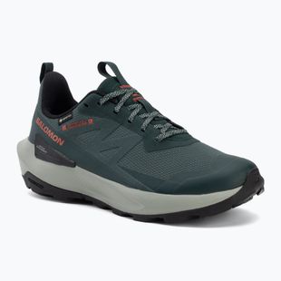 Pánské turistické boty Salomon Elixir Activ GTX scarab/green gable