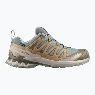 Pánské běžecké boty Salomon XA Pro 3D V9 GTX sedona sage/brilliant olive