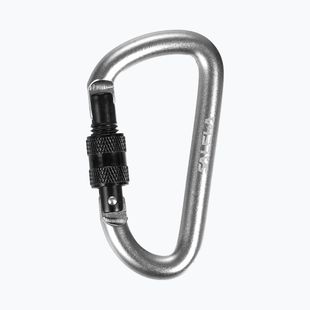 Salewa D-Shape Carbiner se šroubem stříbrná 00-0000034102