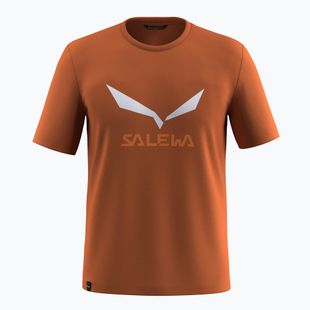 Pánské tričko Salewa Solidlogo Dry bombay brown