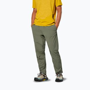 Pánské trekingové kalhoty Salewa Pedroc 3 DST Light faded green