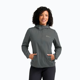 Dámská softshellová bunda Jack Wolfskin Windhain Hoody slate green