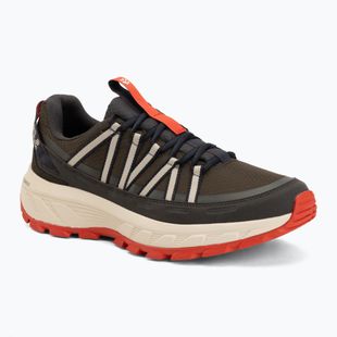 Pánské turistické boty Jack Wolfskin Wild Hike Texapore Low obsidian moss