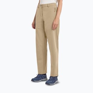 Dámské trekingové kalhoty Jack Wolfskin Pico Trail hazel wood