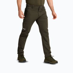 Pánské trekové kalhoty Jack Wolfskin Activate Flex obsidian moss