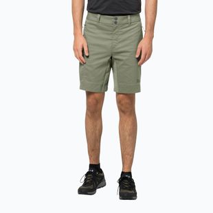Pánské trekingové kraťasy Jack Wolfskin Activate Tour zelené 1507441