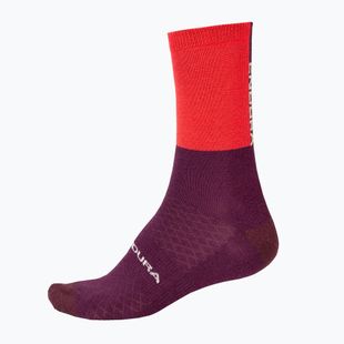 Cyklistické ponožky Endura Baa Baa Merino Winter pomegranate
