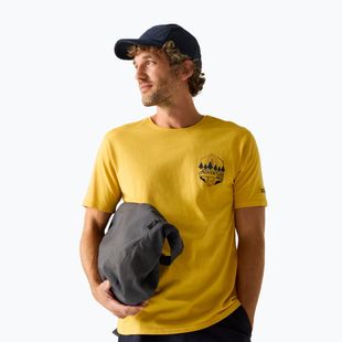 Pánské tričko Regatta ClineIX ceylon yellow