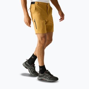 Pánské trekingové šortky REGATTA Anti Insect Travel Light wood brown