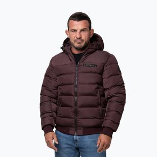 Pánská zimní bunda Pitbull Dillon Quilted Hooded burgundy