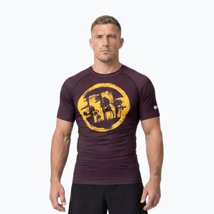 Pánské tričko na lezení Pitbull Rashguard Logo Palms brown