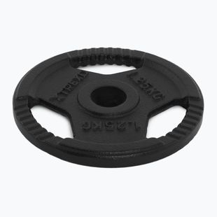 Litinový kotouč XTREXO TRX-ICP001 1,25 kg chrom