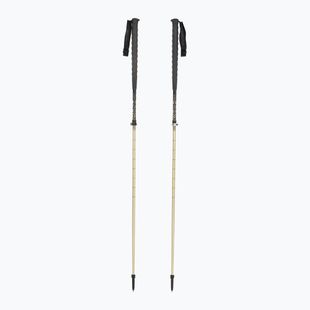 Lyžařské hole HEAD Kore Free Tour metallic sand/black