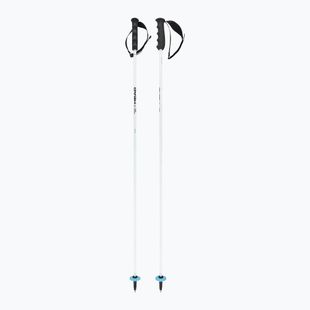 Lyžařské hole HEAD Worldcup Rebels Carbon white