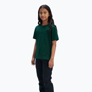 Dětské tričko  POC Tee zink pargasite green