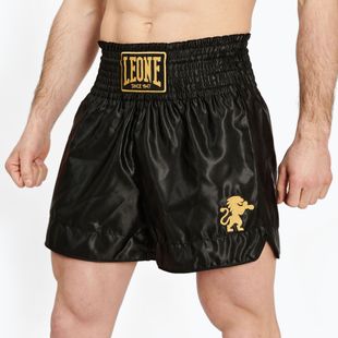 Pánské boxerské šortky LEONE 1947 Basic 2 black