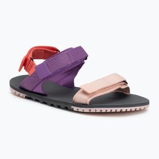 Dámské barefoot sandály Xero Shoes D-Trail devberry / multi