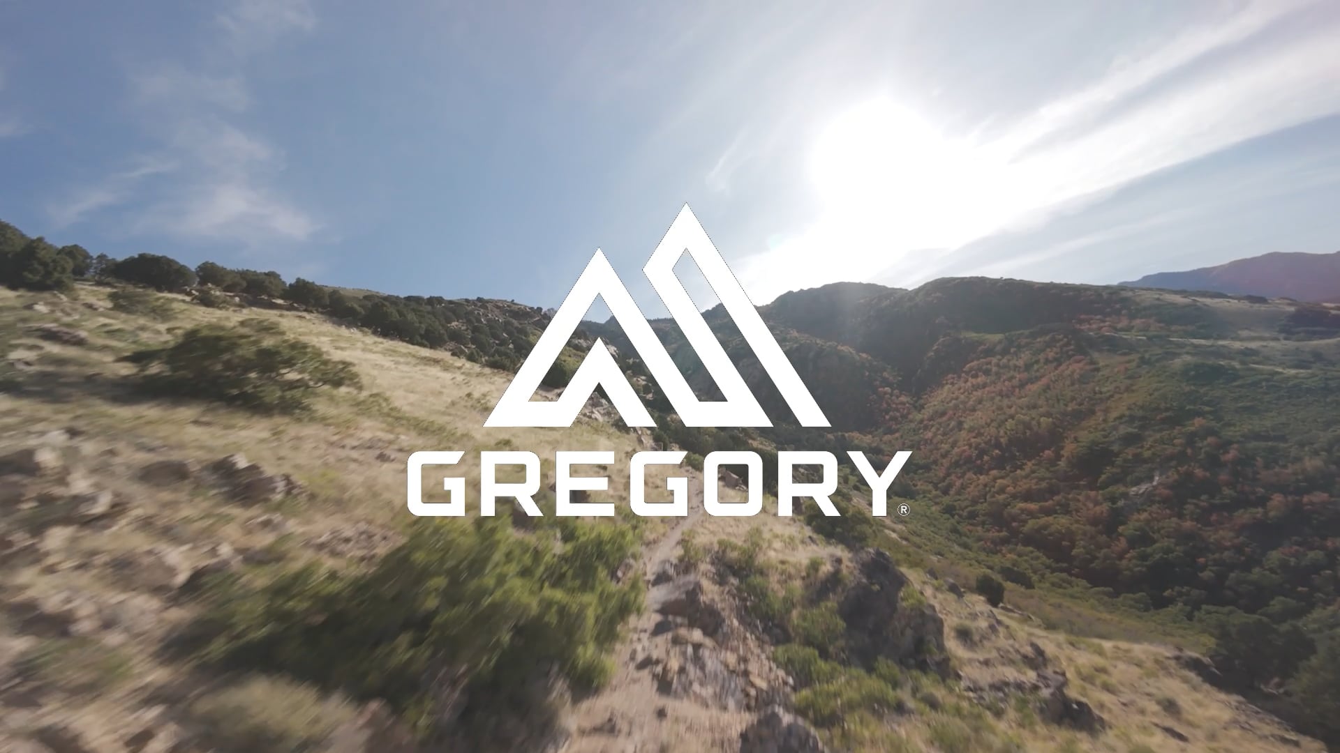 Turistický batoh Gregory Kiro 20 l RC legion blue
